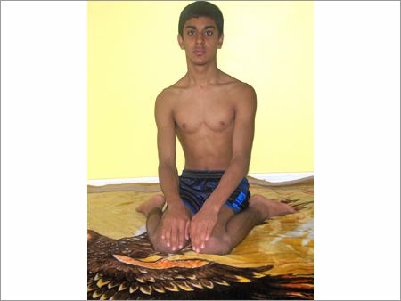 Ayurvedic Treatments - Organic Herbs, Variable Duration | Holistic Healing, Stress Reduction, Personalized Plans