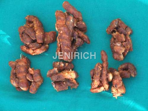 Tamarind