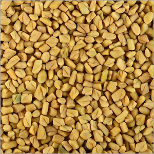 Fenugreek Seed