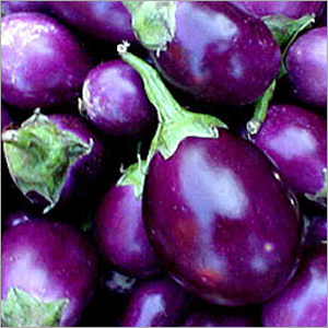 Brinjal