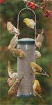 Peanut Feeder