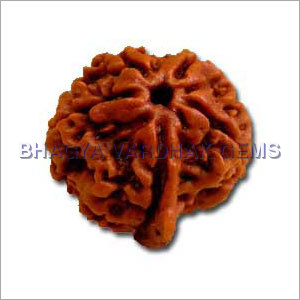 Rudraksh Bead