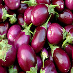 Brinjal