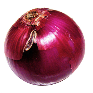 Onion