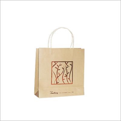 Kraft Foil Print Paper Bags