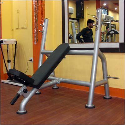 Preacher Curl Bench