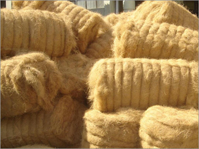 Coir Fibre