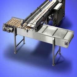 Shuttle Conveyor