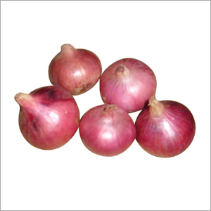 Onion