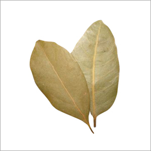 Bay Leaf