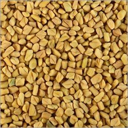 Fenugreek Seeds