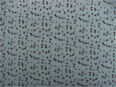 Cotton Print Fabric 60's x 60's