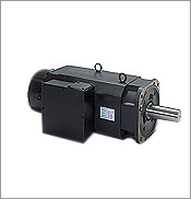 Servo Drive Motors