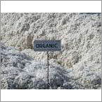 Raw Cotton