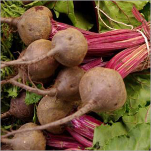 Beetroot