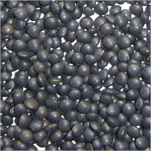 Black Beluga Lentils - Small Round Black Bulk | High Protein Rich Fiber Gluten-Free Versatile Sustainable