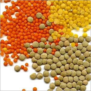 Lentils
