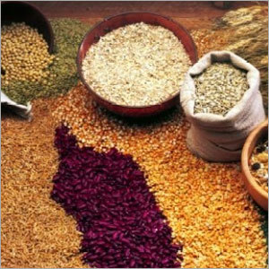 Spices & Seasonings