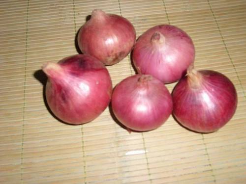 Fresh onion 