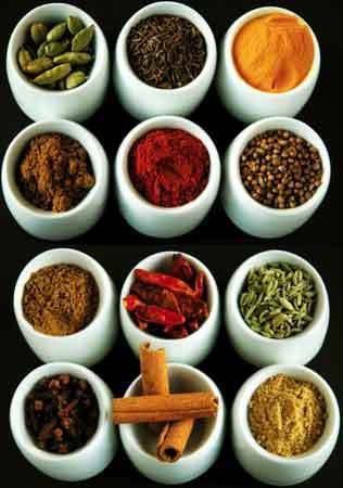 Indian Spices