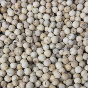 White Pepper
