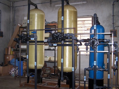 D M Plant