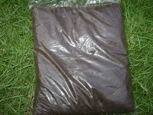 PULSE BOOST ( Rhizobium Nodule )
