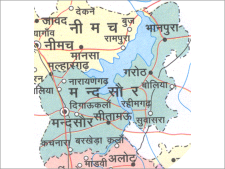 Cargo Transportation- Delhi to Mandsaur