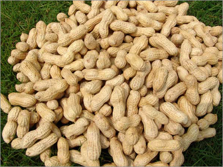 Groundnut Shell