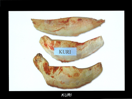 Frozen Kuri