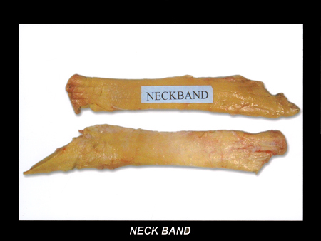 Buffalo Neckband