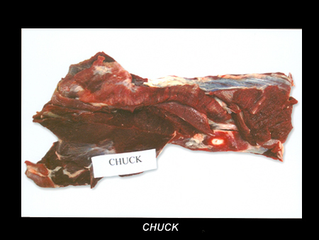 Buffalo Chuck