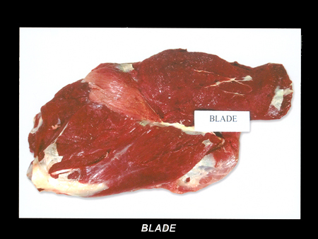 Buffalo Blade