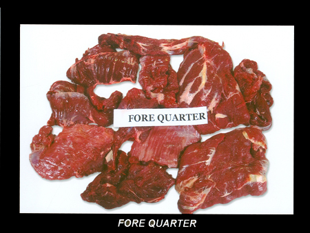 Fore Quarter