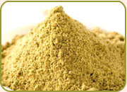 spices-Coriander Powder