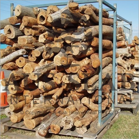 Sandalwood Dead Wood