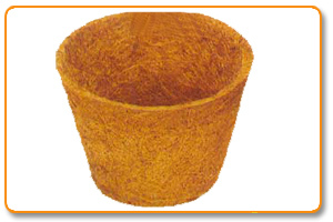 Plant Pot