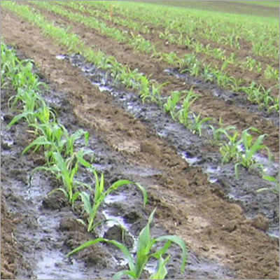 Insecticide Chemicals