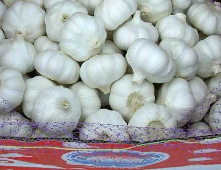 Indian garlic