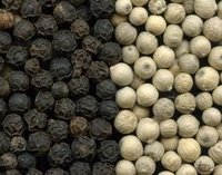 white pepper