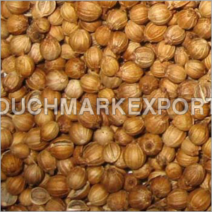 Coriander Seeds