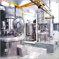 Tooth Paste Plant