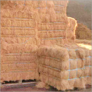 Coir Fibre