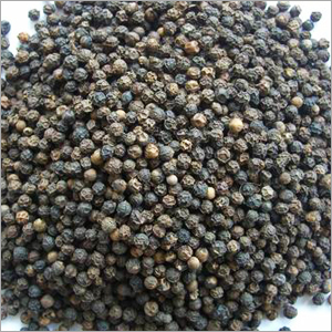 Black Pepper
