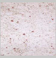 China White Granite