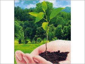 HR Services - Cloud-Based HR Solutions | Compliance Support, Employee Onboarding, Payroll Services, Performance Management, Talent Acquisition, 1-5 Year Contracts