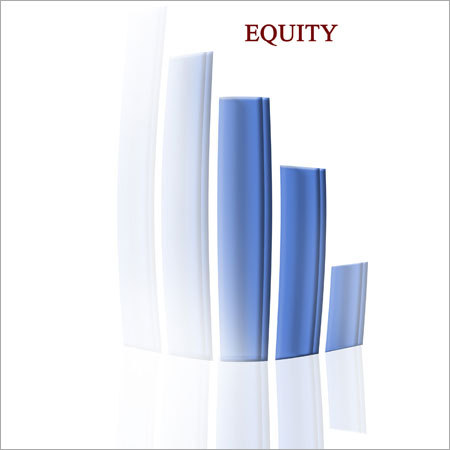 Equity