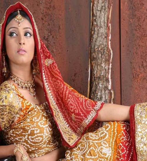 Fancy Lehenga