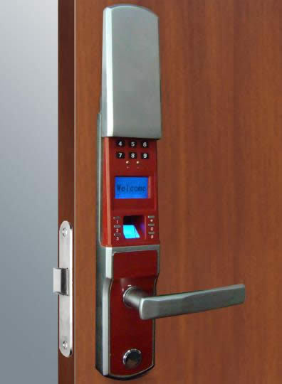 Biometric lock