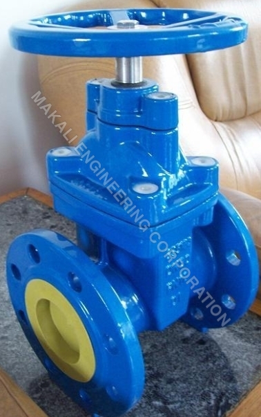 Resilient Seated Gate Valves